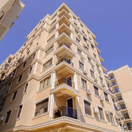 - Solid - Bd 385